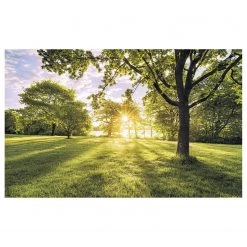 Komar Papier peint intissé Golden Moment II - Intissé - Multicolore