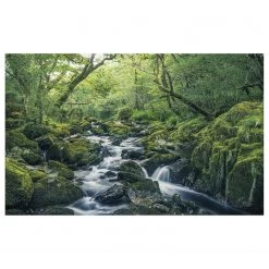 Komar Papier peint intissé Green Tales - Intissé - Multicolore