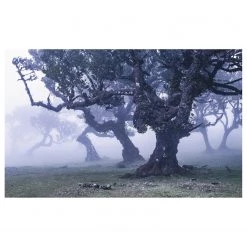 Komar Papier peint intissé Ghost Line - Intissé - Multicolore