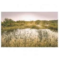 Komar Papier peint intissé Morning View II - Intissé - Multicolore