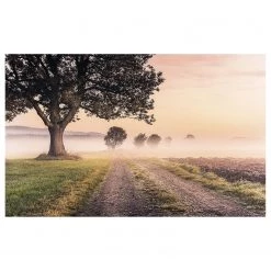 Komar Papier peint intissé Misty Morning - Intissé - Multicolore