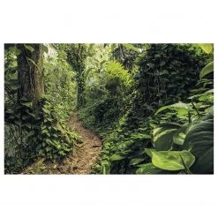 Komar Papier peint intissé Path of Dreams - Intissé - Multicolore