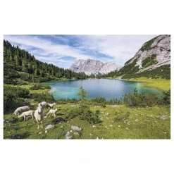Komar Papier peint intissé Paradise Lake - Intissé - Multicolore