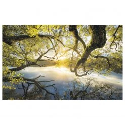 Komar Papier peint intissé Golden Embrace - Intissé - Multicolore