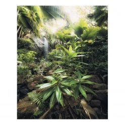 Komar Papier peint intissé Spirit - Intissé - Multicolore