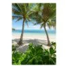 Komar Papier peint intissé Palmy Beach II - Intissé - Vert / Bleu