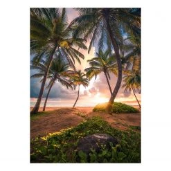 Komar Papier peint intissé Vertical Paradise - Intissé - Multicolore