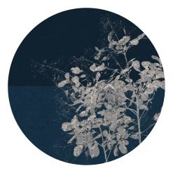 Komar Papier peint intissé Branch - Encre au latex / Intissé - Multicolore