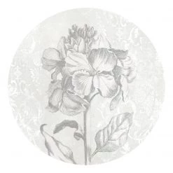 Komar Papier peint intissé Barock Beauty - Encre au latex / Intissé - Noir / Blanc