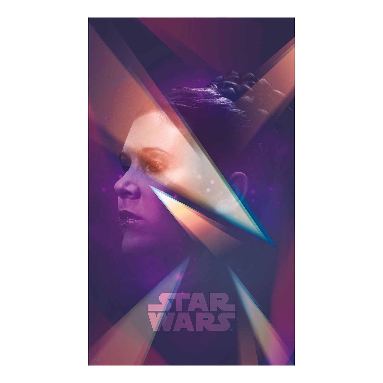 Komar Papier peint intissé Star Wars Leia II - Intissé - Multicolore