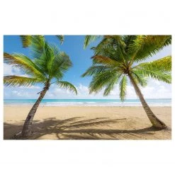 Komar Papier peint intissé Caribbean Days II - Intissé - Multicolore
