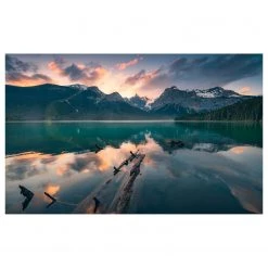 Komar Papier peint intissé Burning Emerald - Intissé - Multicolore - Largeur : 450 cm