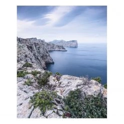 Komar Papier peint intissé Bizarre Coast - Intissé - Multicolore