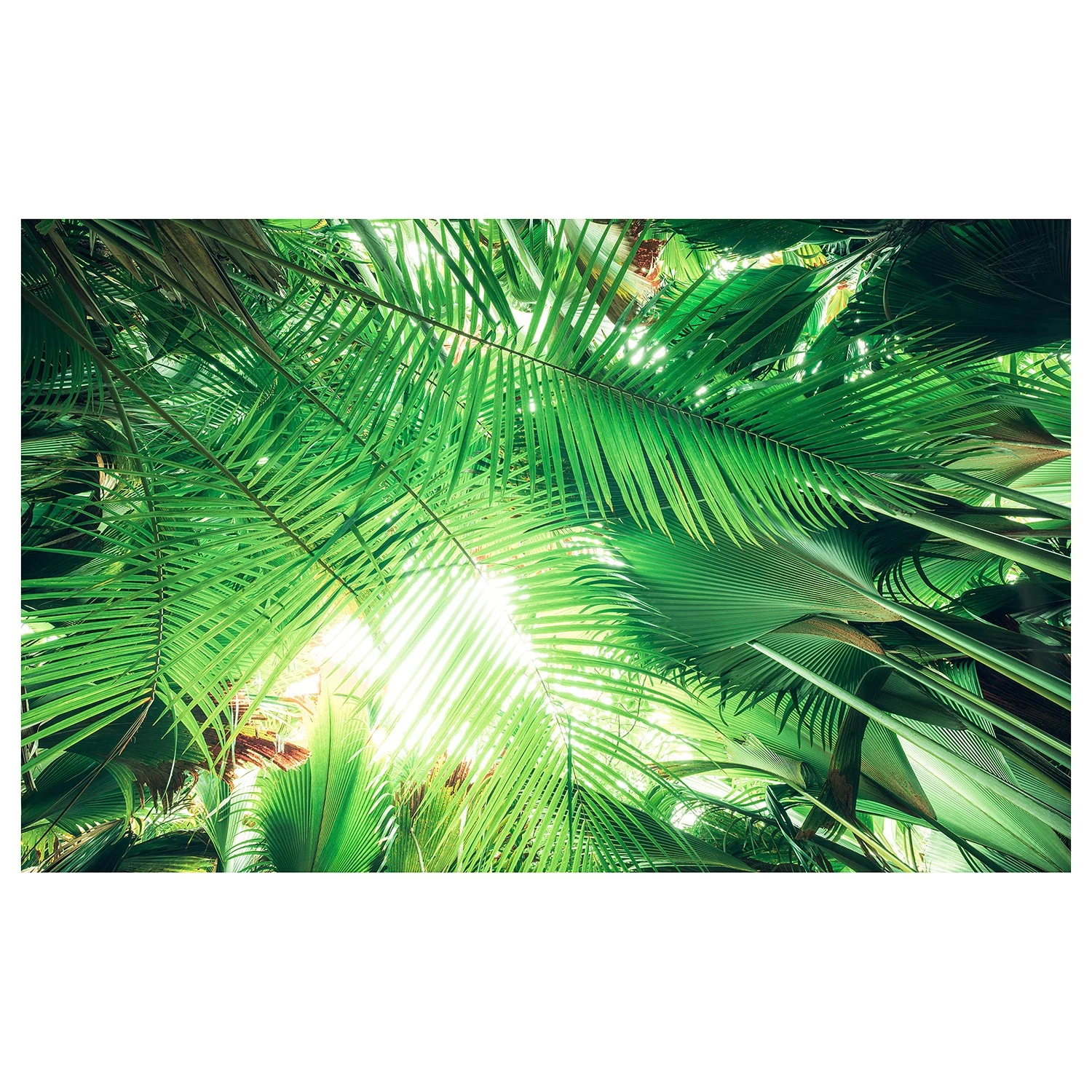 Komar Papier peint intissé Jungle I - Intissé - Vert