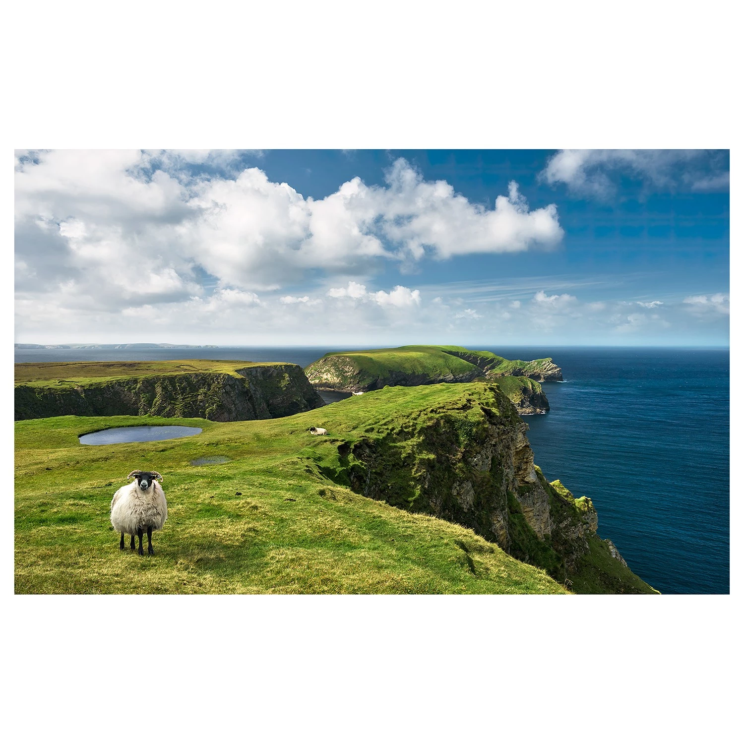 Komar Papier peint intissé Green Ireland - Intissé - Multicolore