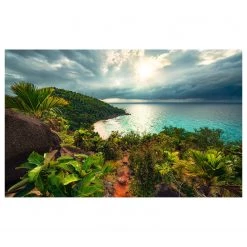 Komar Papier peint intissé Jardin tentations - Intissé - Multicolore