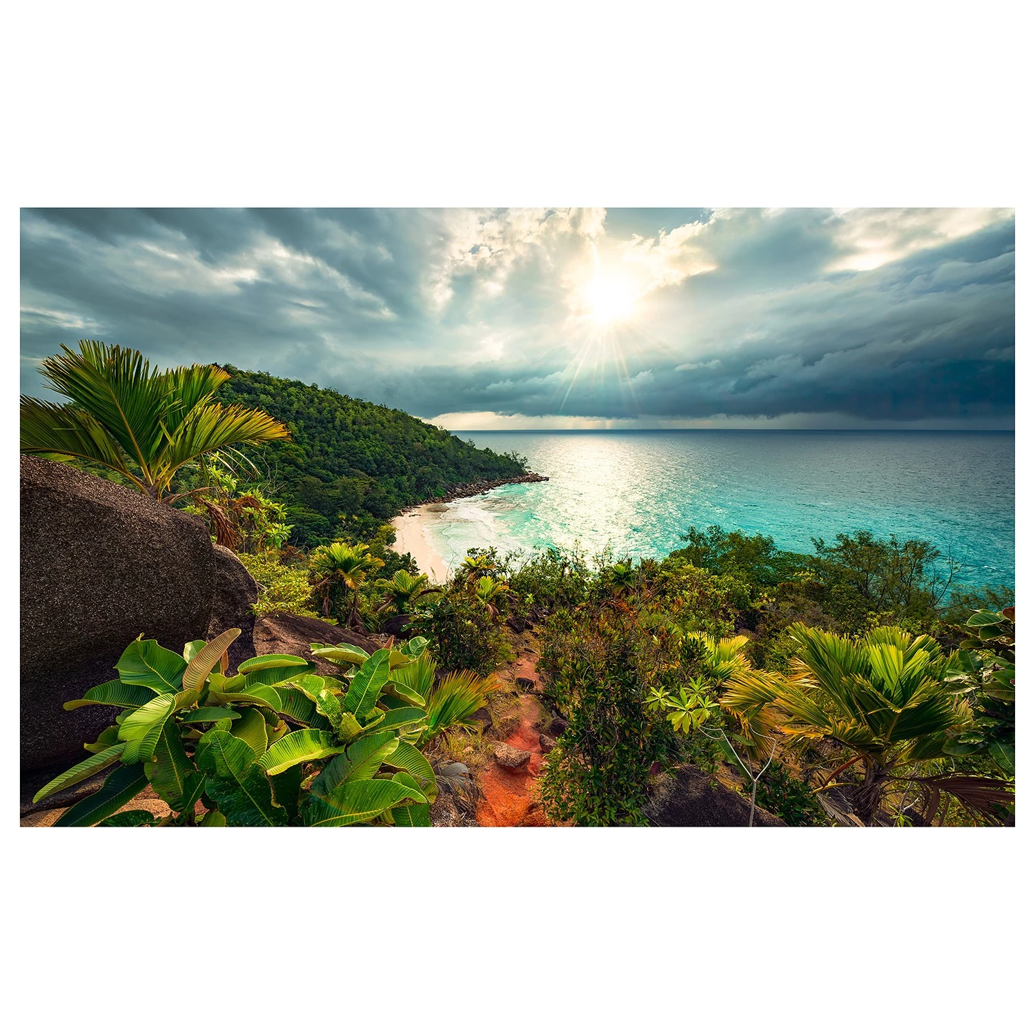 Komar Papier peint intissé Jardin tentations - Intissé - Multicolore