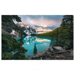 Komar Papier peint intissé Magic Morning - Intissé - Multicolore