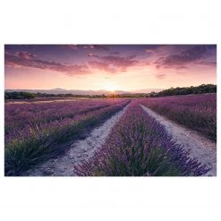 Komar Papier peint intissé Lavender Dream - Intissé - Multicolore