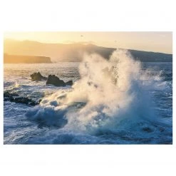 Komar Papier peint intissé Exploding Elements - Intissé - Multicolore