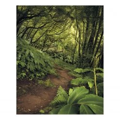 Komar Papier peint intissé The Path - Intissé - Multicolore