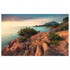 Komar Papier peint intissé Paradiso II - Intissé - Multicolore