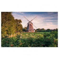 Komar Papier peint intissé Moulin - Intissé - Multicolore