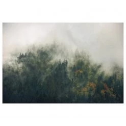 Komar Papier peint Tales of the Carpathians II - Intissé - Multicolore