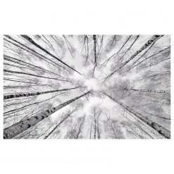 Komar Papier peint intissé Blanc & Bleu - Intissé - Noir / Blanc