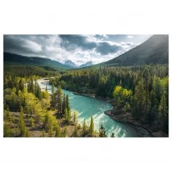 Komar Papier peint intissé Wild Canada - Intissé - Multicolore