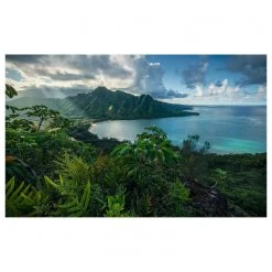 Komar Papier peint intissé Jurassic Island - Intissé - Multicolore