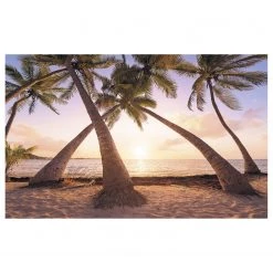 Komar Papier peint intissé Reaching the Sun - Intissé - Multicolore