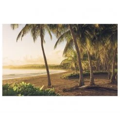 Komar Papier peint intissé Golden Lands - Intissé - Multicolore