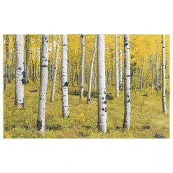 Komar Papier peint intissé Orange Forest - Intissé - Multicolore