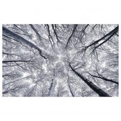 Komar Papier peint intissé Up - Intissé - Noir / Blanc