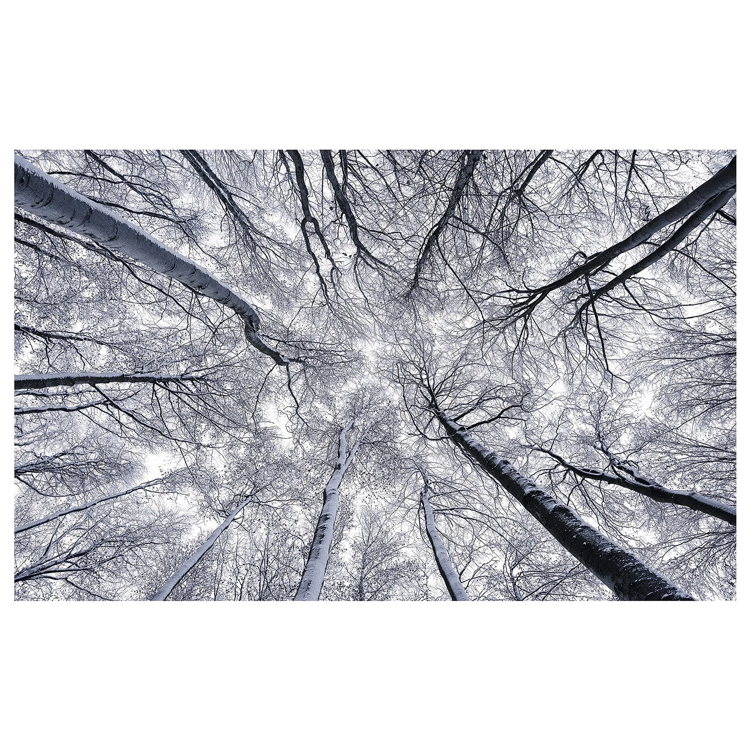 Komar Papier peint intissé Up - Intissé - Noir / Blanc