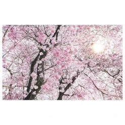 Komar Papier peint intissé Bloom - Intissé - Multicolore