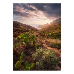 Komar Papier peint intissé Lumière chaude - Intissé - Multicolore