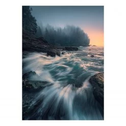 Komar Papier peint intissé Cry of the Sea - Intissé - Bleu