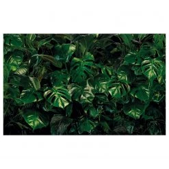 Komar Papier peint intissé Tropical Wall - Intissé - Vert - Largeur : 400 cm