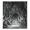 Komar Papier peint intissé Forevenue - Intissé - Noir / Blanc
