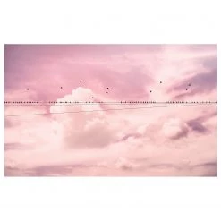 Komar Papier peint intissé Cloud Wire - Largeur : 400 cm