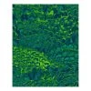 Komar Papier peint intissé Feathers - Intissé - Vert