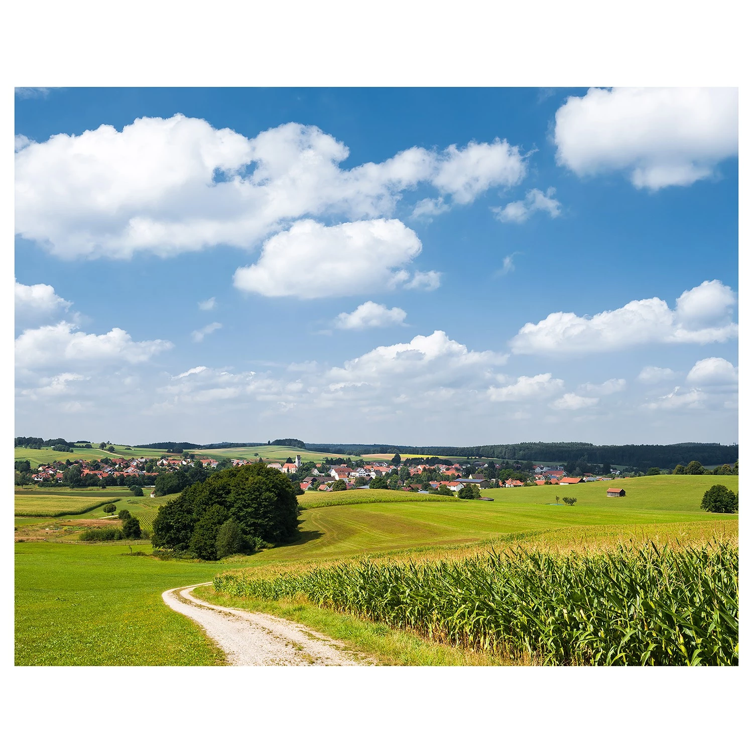 Komar Papier peint intissé Bayrische Idylle - Intissé - Multicolore