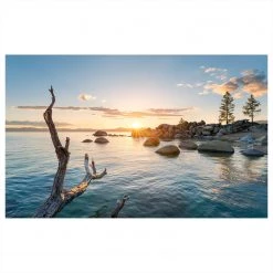 Komar Papier peint intissé Final Light - Intissé - Multicolore