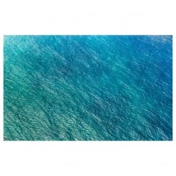 Komar Papier peint intissé Pause bleue I - Intissé - Bleu