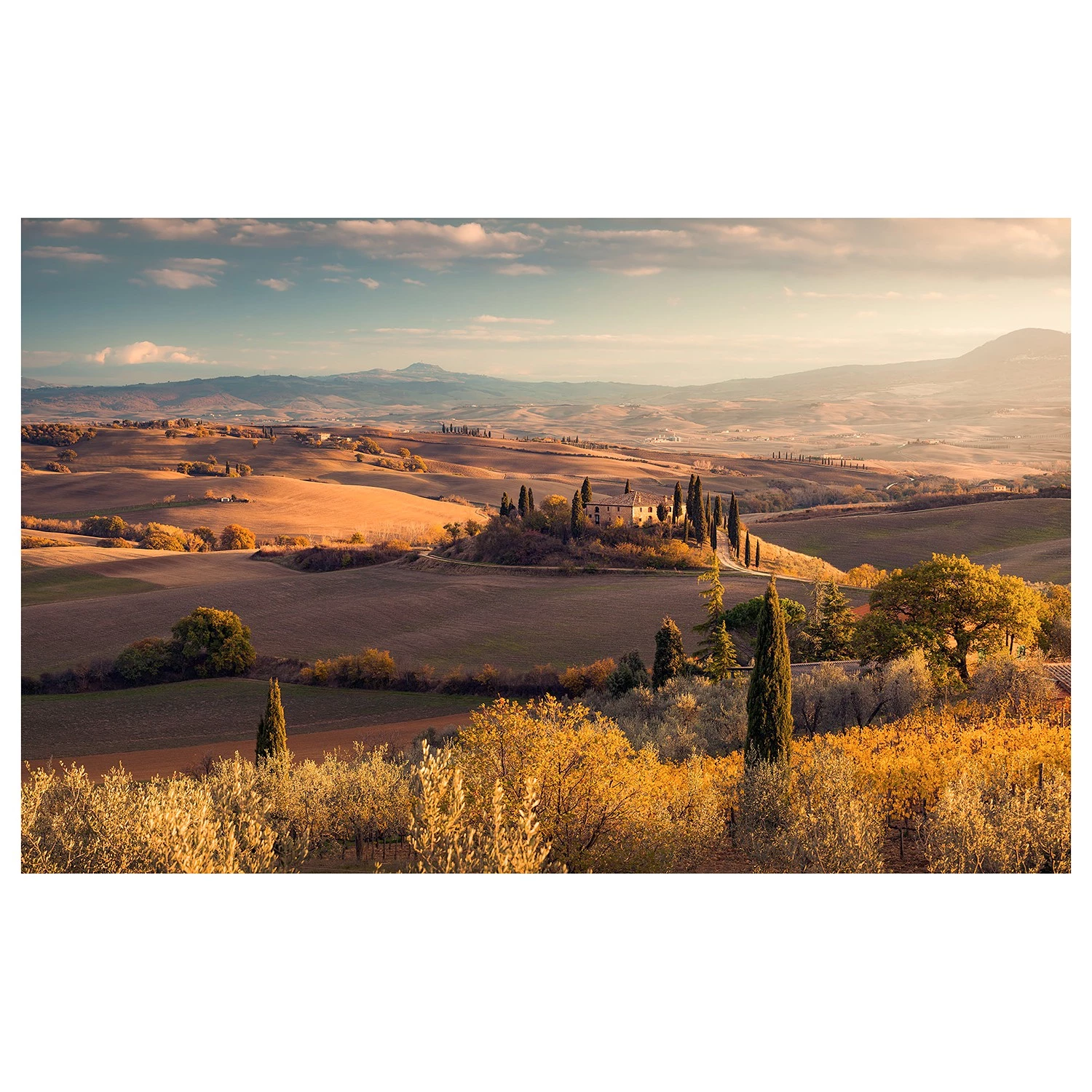 Komar Papier peint intissé Or de Toscane - Intissé - Jaune / Marron