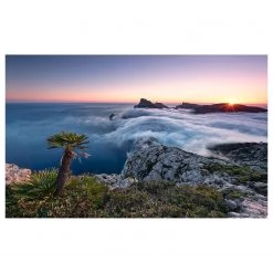 Komar Papier peint intissé Island Paradise - Intissé - Multicolore