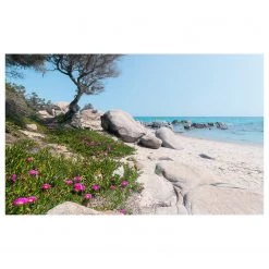 Komar Papier peint intissé Méditerranée I - Intissé - Multicolore