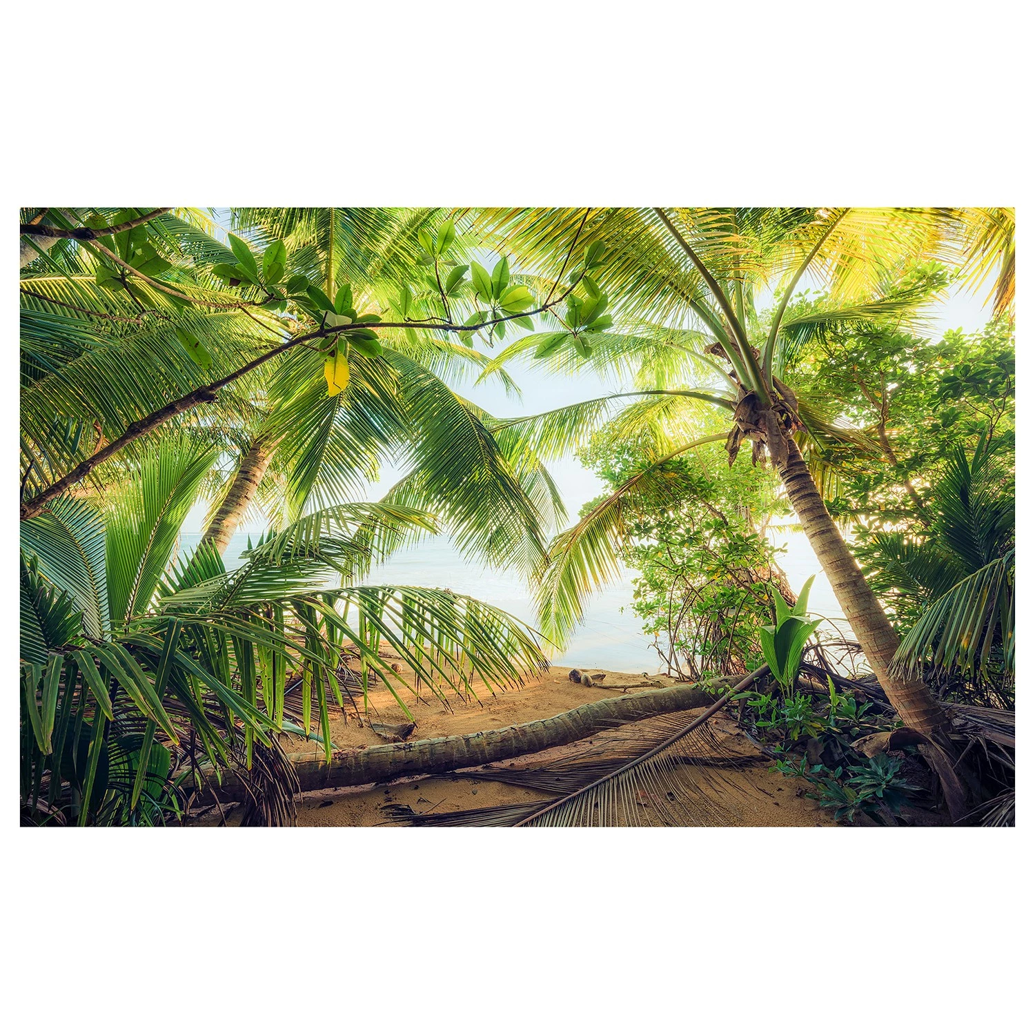 Komar Papier peint intissé Antre de pirate - Intissé - Vert